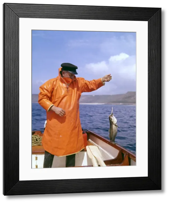 Framed Print : Fisherman with pollock, Lands End, Cornwall Framed Print : Fisherman with pollock, Lands End, Cornwall