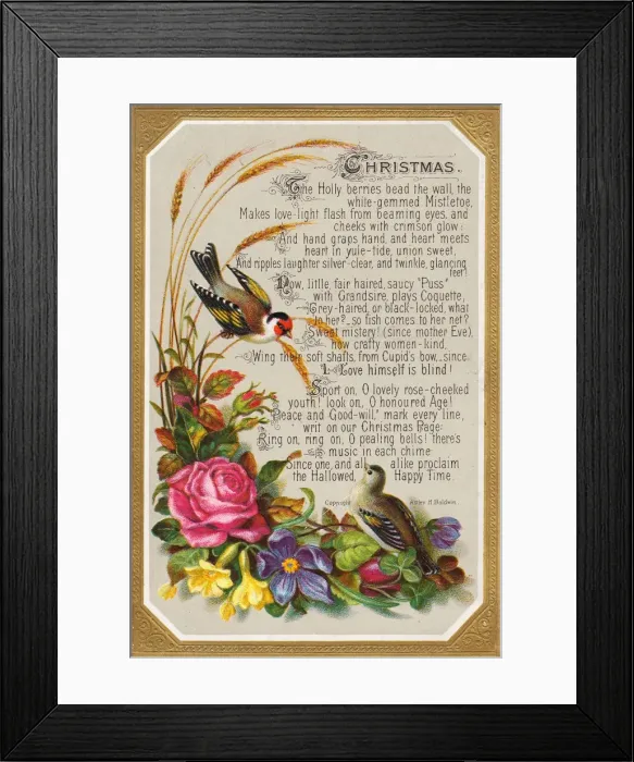 Framed Print : Birds and flowers on a Christmas card Framed Print : Birds and flowers on a Christmas card