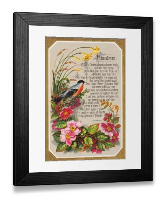 Framed Print : Bird and flowers on a Christmas card Framed Print : Bird and flowers on a Christmas card