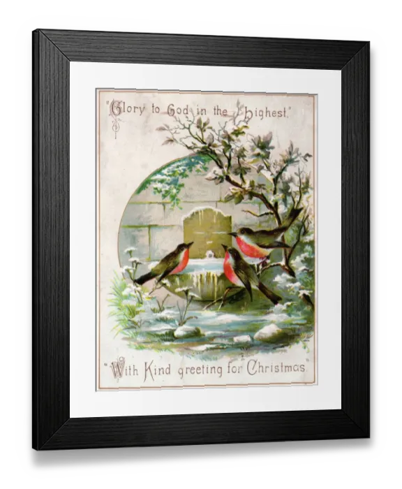 Framed Print : Three robins on frozen birdbath on a Christmas card Framed Print : Three robins on frozen birdbath on a Christmas card