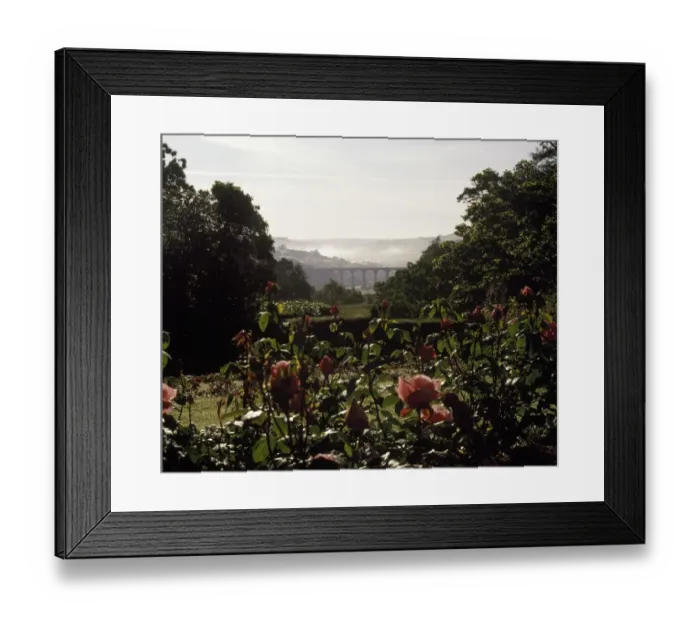 Framed Print : Early morning mists, River Tamar valley, Cornwall Framed Print : Early morning mists, River Tamar valley, Cornwall
