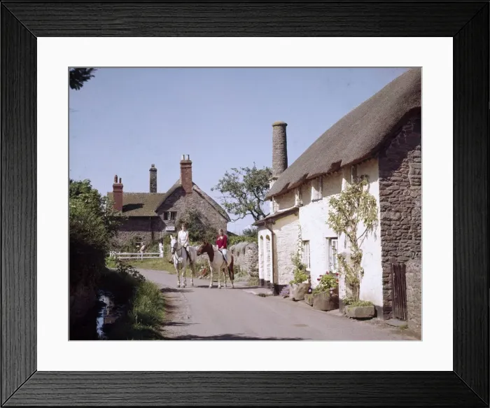 Framed Print : Horses by cottages at Bossington, Somerset Framed Print : Horses by cottages at Bossington, Somerset