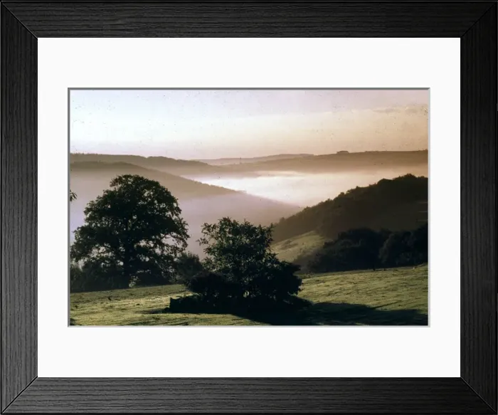 Framed Print : Early morning mist, Tamar Valley, Cornwall Framed Print : Early morning mist, Tamar Valley, Cornwall