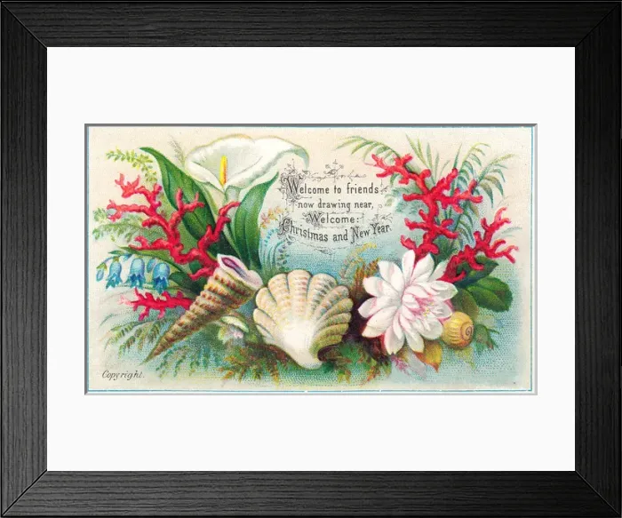 Framed Print : Shells, coral and flowers on a Christmas card Framed Print : Shells, coral and flowers on a Christmas card