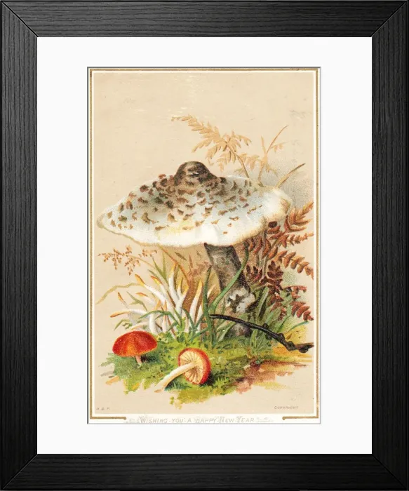 Framed Print : Colourful toadstools on a New Year card Framed Print : Colourful toadstools on a New Year card