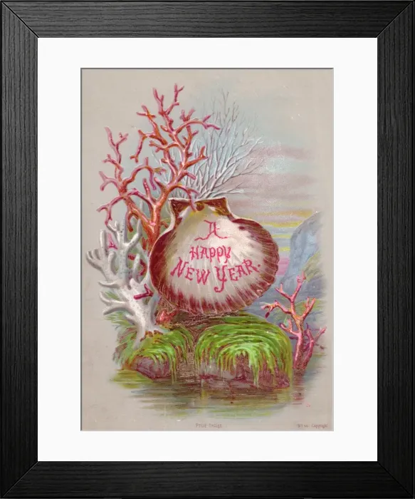 Framed Print : Shell and coral on a New Year card Framed Print : Shell and coral on a New Year card