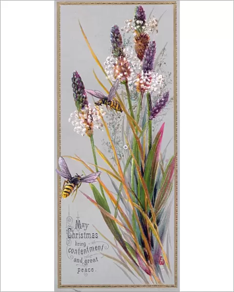 Lavender and a bee on a Christmas card