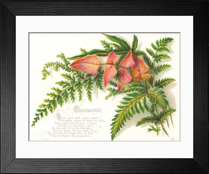 Framed Print : Spray of green and orange leaves on a Christmas card Framed Print : Spray of green and orange leaves on a Christmas card