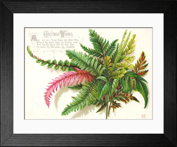Framed Print : Green, brown and pink leaves on a Christmas card Framed Print : Green, brown and pink leaves on a Christmas card