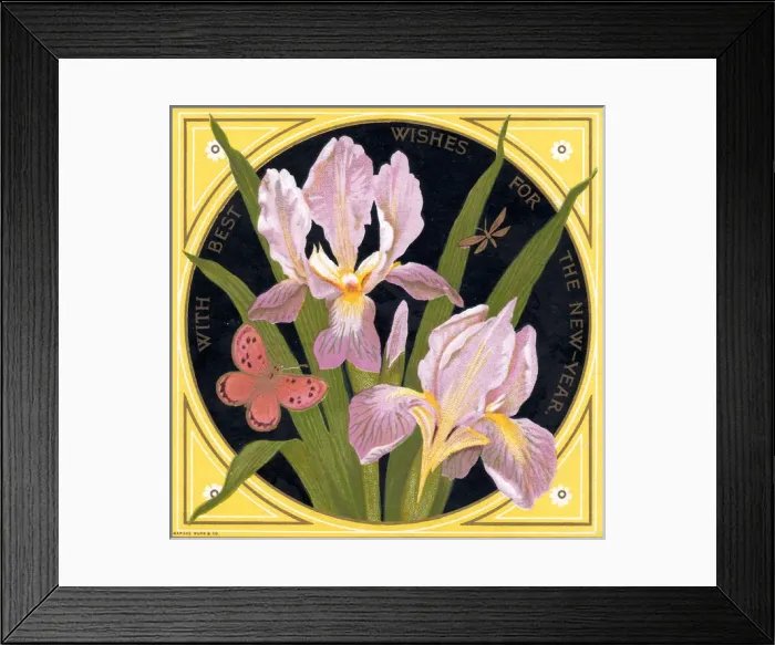 Framed Print : Mauve iris and a pink butterfly on a New Year card Framed Print : Mauve iris and a pink butterfly on a New Year card