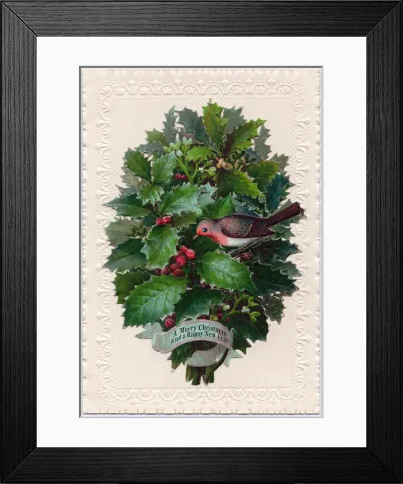 Framed Print : Clump of holly on a Christmas and New Year card