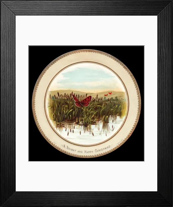 Framed Print : Butterflies, water and reeds on a Christmas card Framed Print : Butterflies, water and reeds on a Christmas card