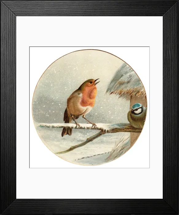 Framed Print : Robin and blue tit on a circular Christmas card Framed Print : Robin and blue tit on a circular Christmas card