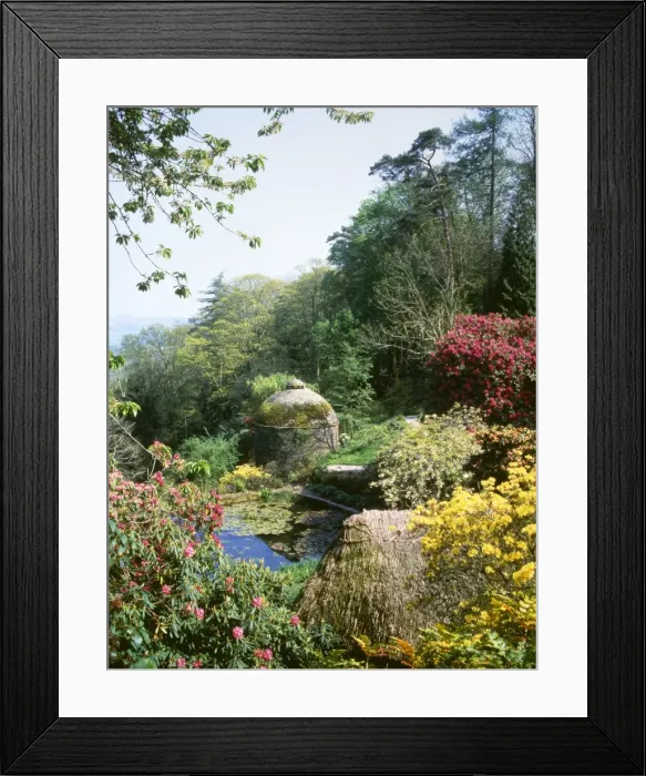 Framed Print : Gardens, Cotehele House, Tamar Valley, Cornwall Framed Print : Gardens, Cotehele House, Tamar Valley, Cornwall