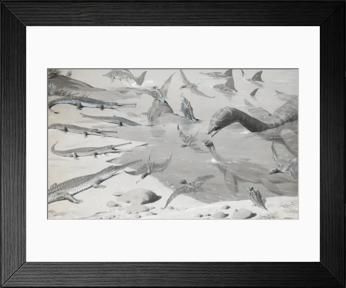Framed Print : Picture No. 11774697 Framed Print : Picture No. 11774697