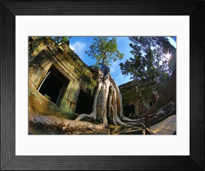 Framed Print : Ta Phrom, Khmer Temple in Angkor, Siem Reap, Cambodia Framed Print : Ta Phrom, Khmer Temple in Angkor, Siem Reap, Cambodia