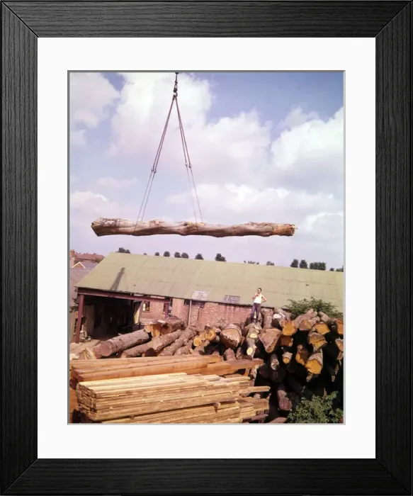 Framed Print : Scene in a timber yard, Devon Framed Print : Scene in a timber yard, Devon