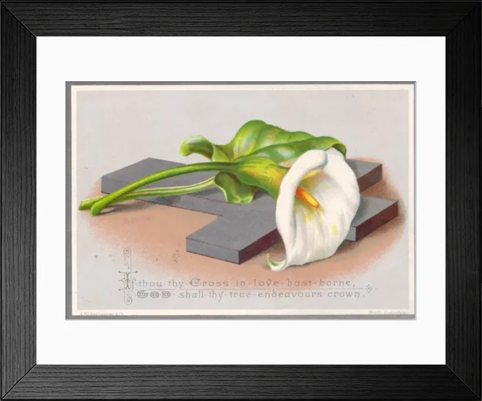 Framed Print : White lily and a cross on an Easter card Framed Print : White lily and a cross on an Easter card