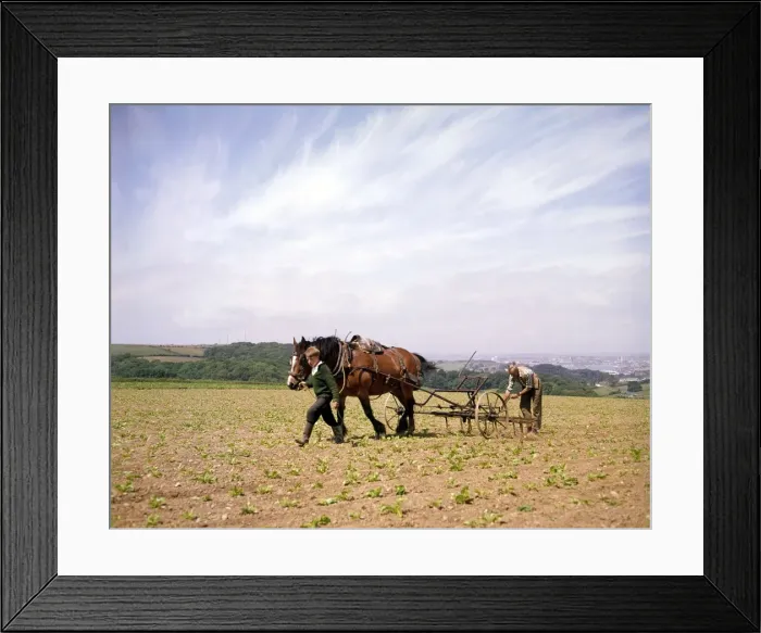 Framed Print : Man and boy, seed drill, field near Plymouth, Devon Framed Print : Man and boy, seed drill, field near Plymouth, Devon