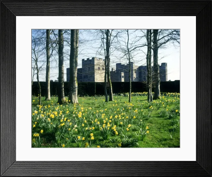 Framed Print : Castle Drogo, near Drewsteignton, Devon Framed Print : Castle Drogo, near Drewsteignton, Devon