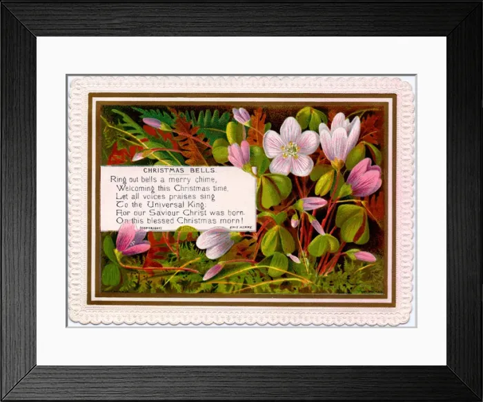 Framed Print : Pink flowers on a Christmas card Framed Print : Pink flowers on a Christmas card