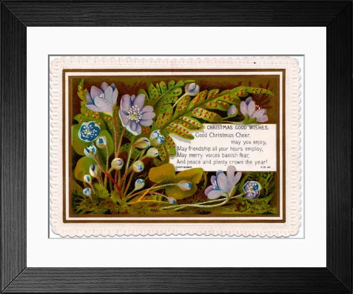 Framed Print : Mauve and blue flowers on a Christmas card Framed Print : Mauve and blue flowers on a Christmas card