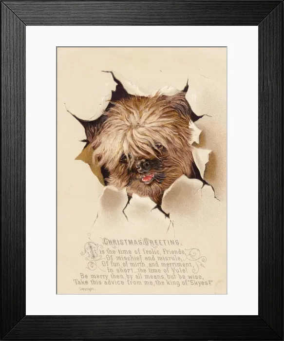 Framed Print : Little dog breaking through paper on a Christmas card Framed Print : Little dog breaking through paper on a Christmas card