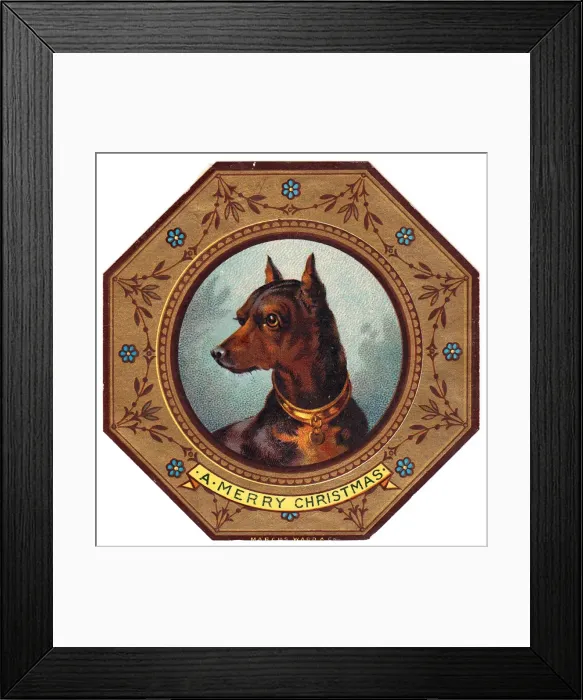 Framed Print : Doberman dog on plate design on a Christmas card Framed Print : Doberman dog on plate design on a Christmas card