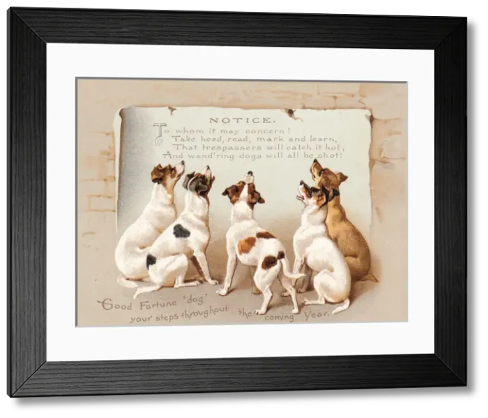 Framed Print : Five dogs reading a notice on a New Year card Framed Print : Five dogs reading a notice on a New Year card