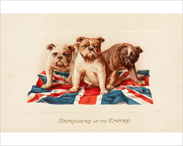Three British bulldogs on a greetings card