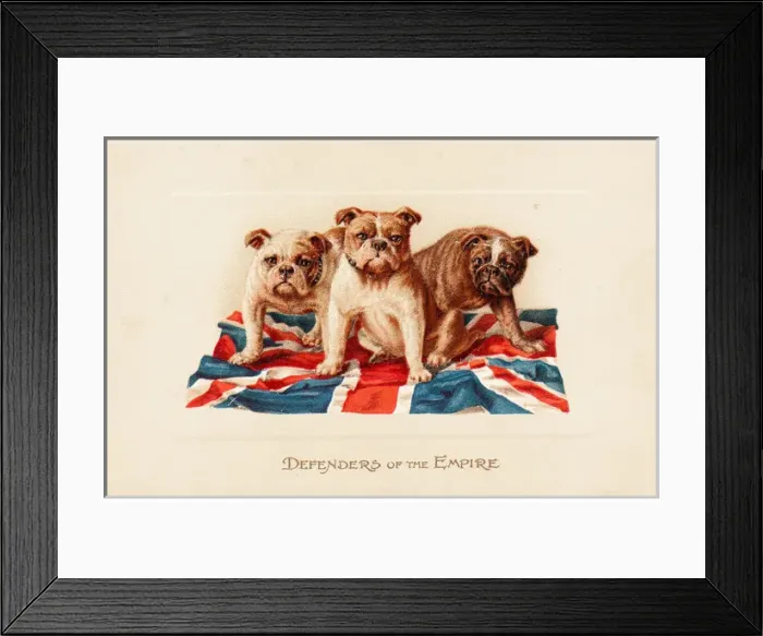 Framed Print : Three British bulldogs on a greetings card Framed Print : Three British bulldogs on a greetings card