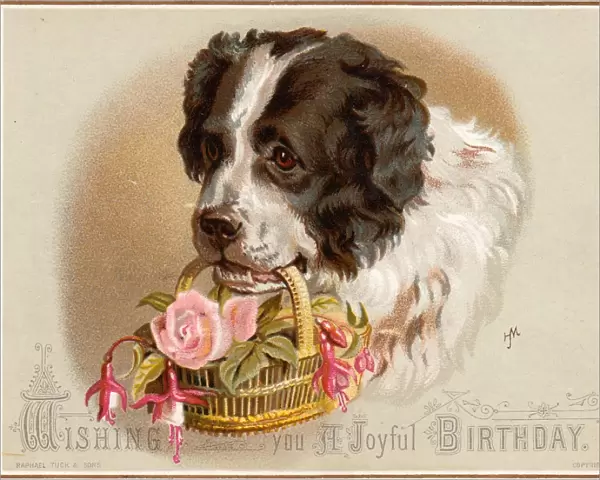 Dog carrying basket of flowers on a birthday card
