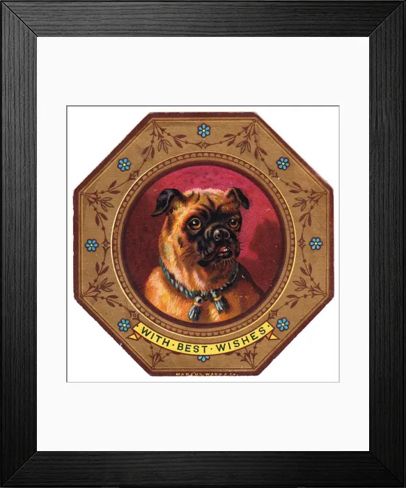 Framed Print : Bulldog on plate design on a greetings card Framed Print : Bulldog on plate design on a greetings card