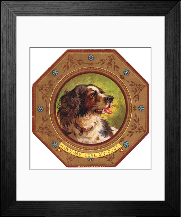 Framed Print : Spaniel on plate design on a greetings card Framed Print : Spaniel on plate design on a greetings card