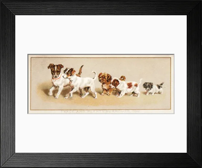 Framed Print : Family of five dogs on a greetings card Framed Print : Family of five dogs on a greetings card