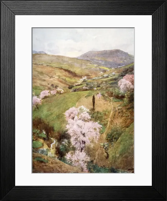 Framed Print : A valley near Girgenti, Sicily, Italy Framed Print : A valley near Girgenti, Sicily, Italy