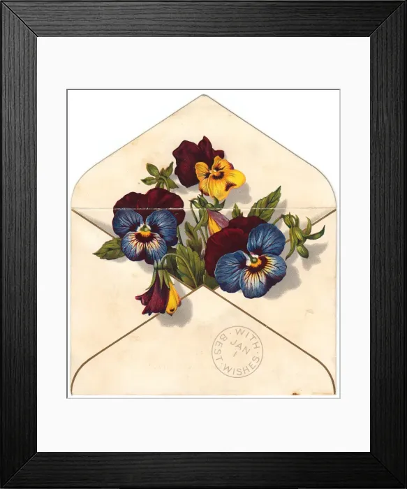 Framed Print : Variegated pansies in an envelope on a New Year card Framed Print : Variegated pansies in an envelope on a New Year card