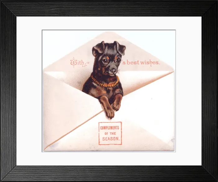 Framed Print : Little dog in an envelope on a Christmas card Framed Print : Little dog in an envelope on a Christmas card