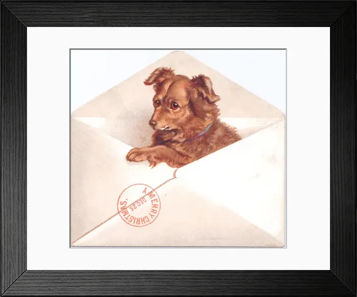 Framed Print : Little dog in an envelope on a Christmas card Framed Print : Little dog in an envelope on a Christmas card