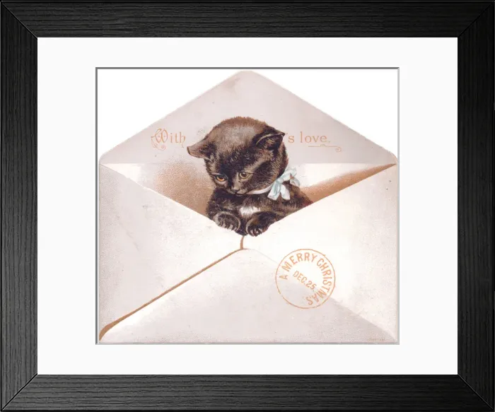 Framed Print : Black kitten in an envelope on a Christmas card Framed Print : Black kitten in an envelope on a Christmas card