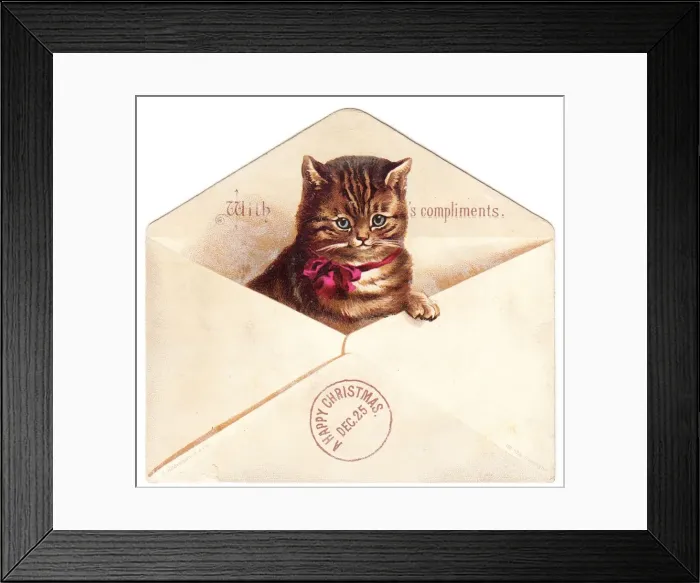 Framed Print : Tabby kitten in an envelope on a Christmas card Framed Print : Tabby kitten in an envelope on a Christmas card