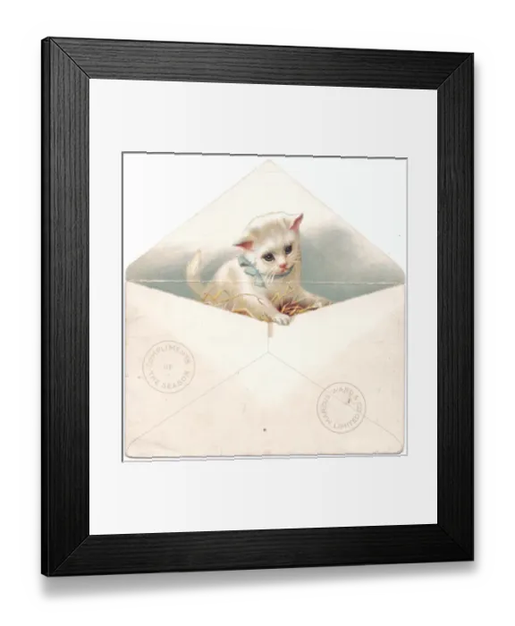 Framed Print : White kitten in an envelope on a Christmas card Framed Print : White kitten in an envelope on a Christmas card