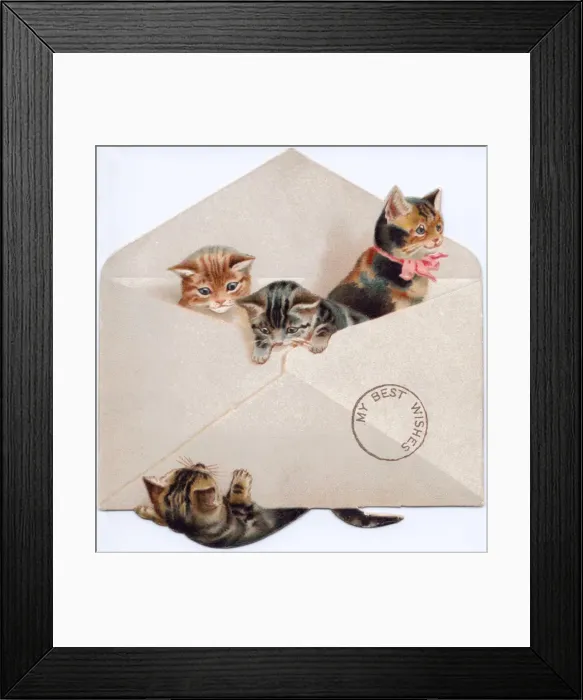 Framed Print : Four kittens in an envelope on a greetings card Framed Print : Four kittens in an envelope on a greetings card