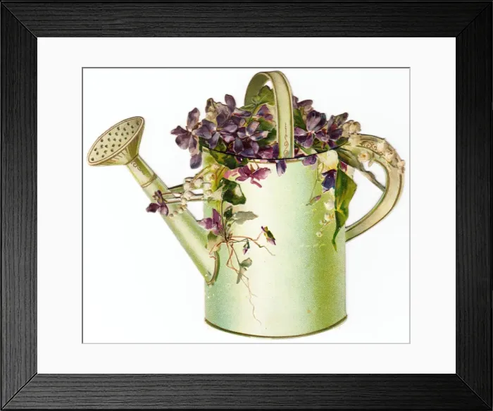Framed Print : Watering can and flowers on a Victorian scrap Framed Print : Watering can and flowers on a Victorian scrap