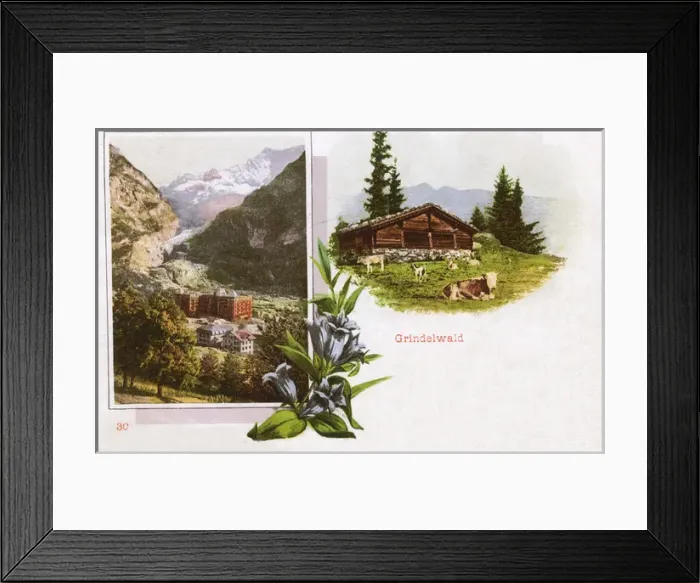 Framed Print : Scenes around Grindelwald Framed Print : Scenes around Grindelwald