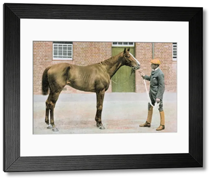 Framed Print : Flying Fox, champion racehorse, with groom Framed Print : Flying Fox, champion racehorse, with groom