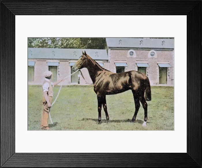 Framed Print : Volodyovski, champion racehorse, with groom Framed Print : Volodyovski, champion racehorse, with groom