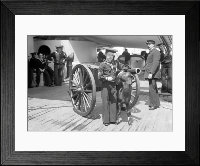 Framed Print : Admiral Sampsons son and Pitch the Goat Mascot on USS New Y Framed Print : Admiral Sampsons son and Pitch the Goat Mascot on USS New Y