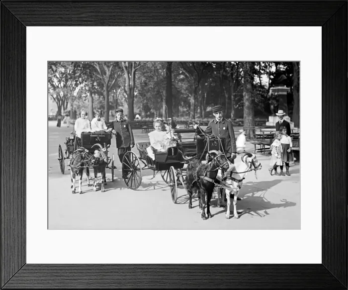 Framed Print : Children in Central Park, riding goat carriages in the park Framed Print : Children in Central Park, riding goat carriages in the park