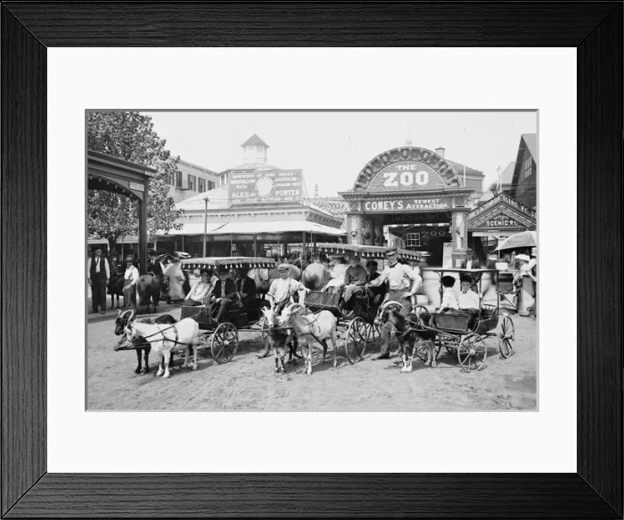 Framed Print : The Goat carriages, Coney Island Amusement Park, New York Framed Print : The Goat carriages, Coney Island Amusement Park, New York